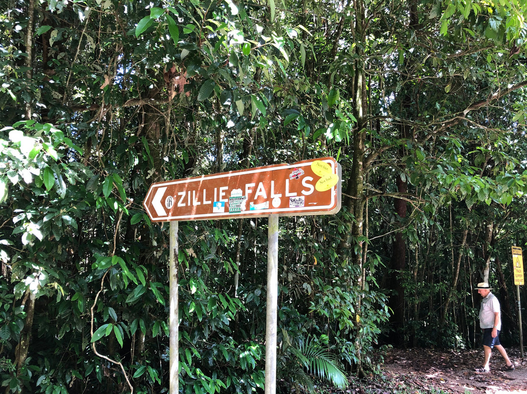 Zillie Falls-Millaa Millaa必去景点
