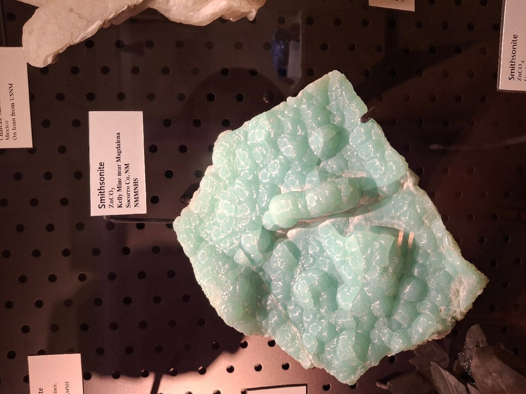 New Mexico Museum of Natural History and Science-阿尔伯克基必去景点