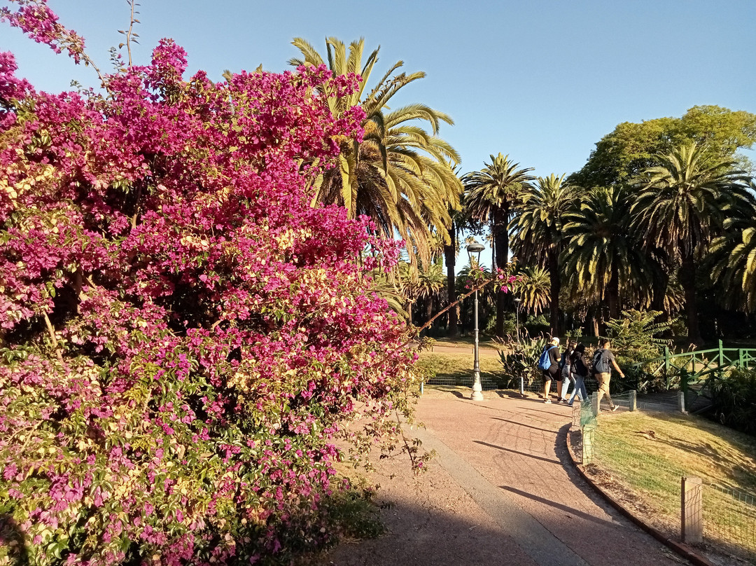Parque Rodo-蒙得维的亚必去景点
