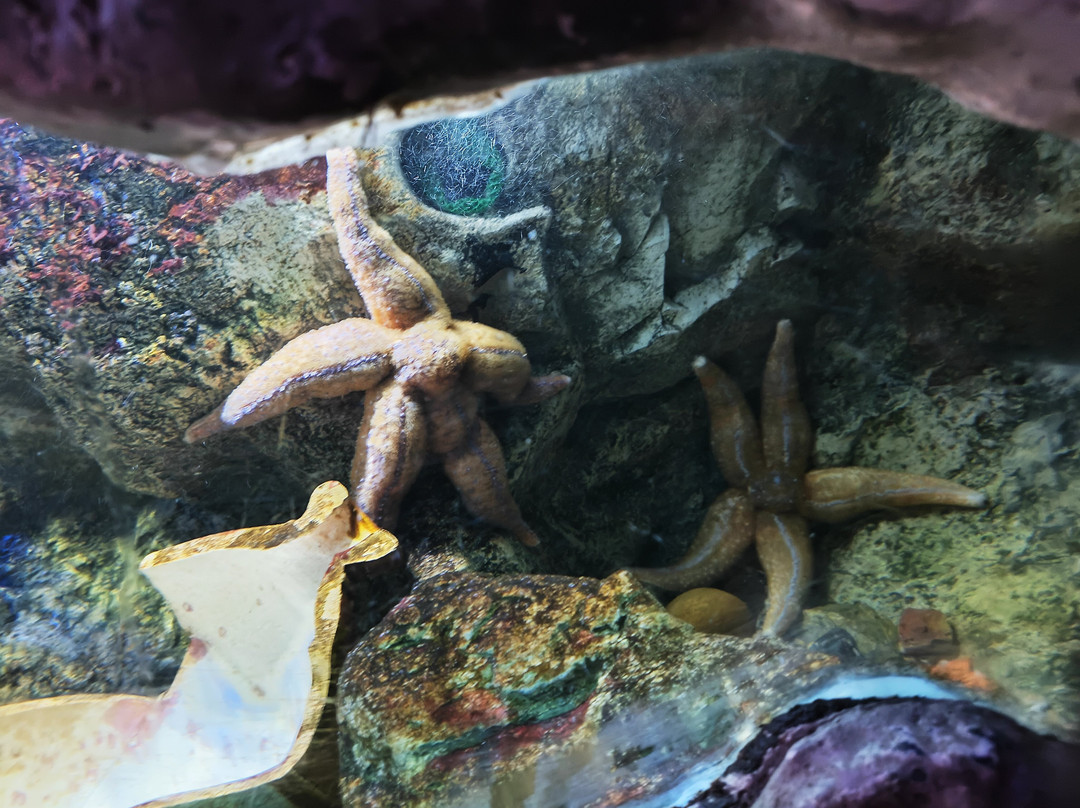 Sealife Adventure景点图片