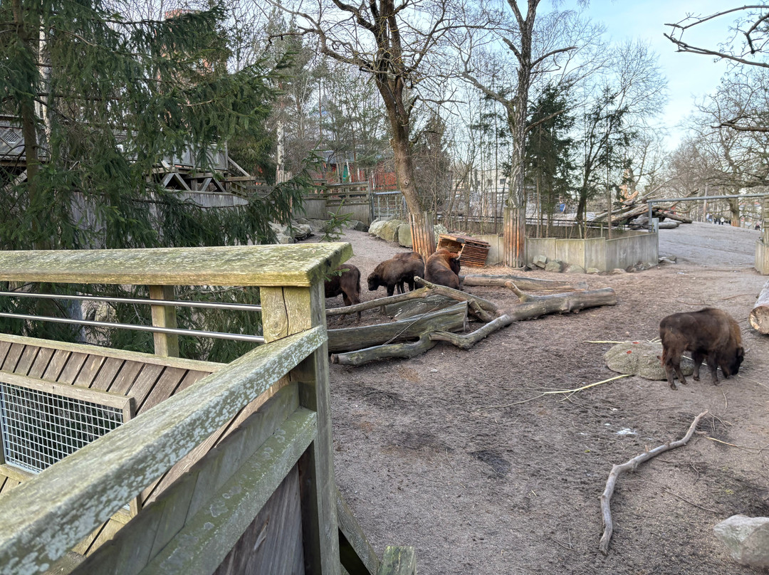 Skansen - Akvariet-斯德哥尔摩必去景点