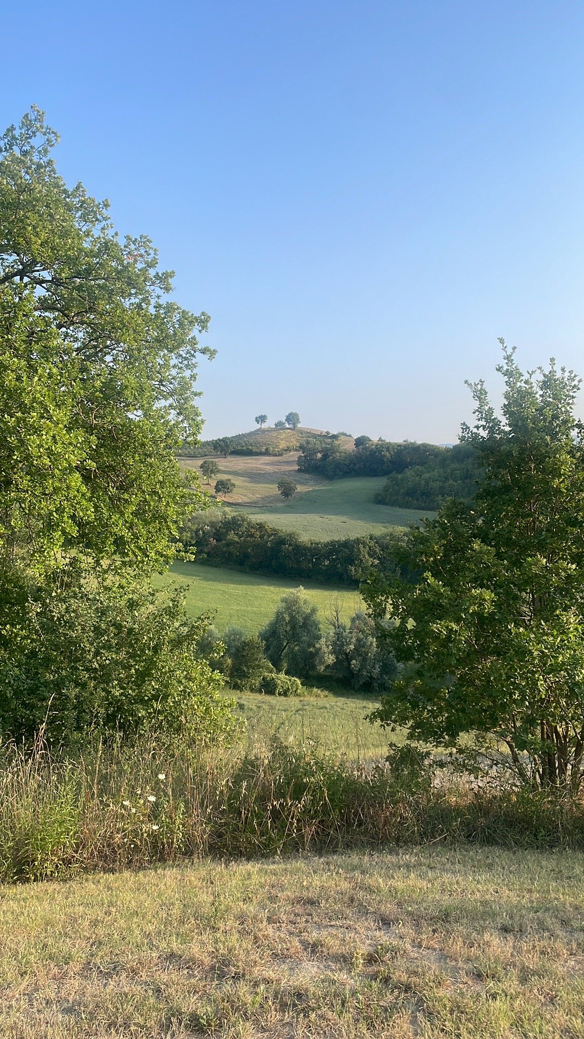 Valle Nuova-官方