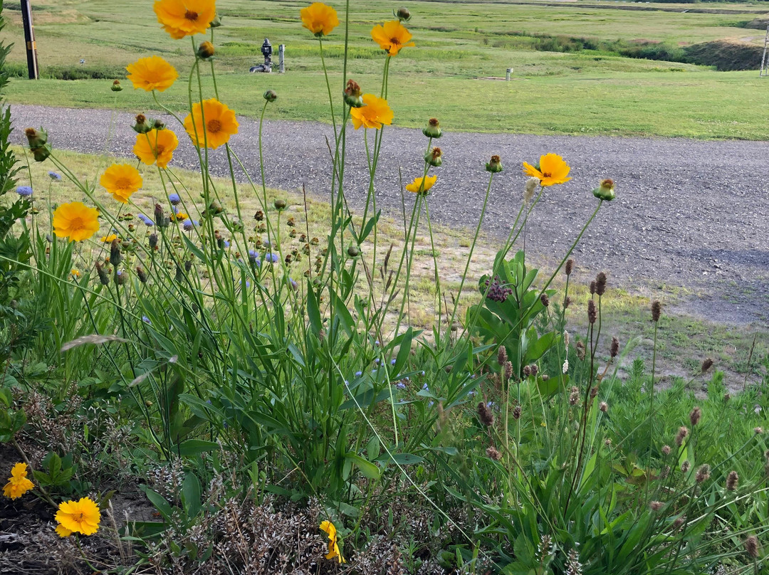 Benson's Pond Cranberry Family Farm-Middleboro必去景点