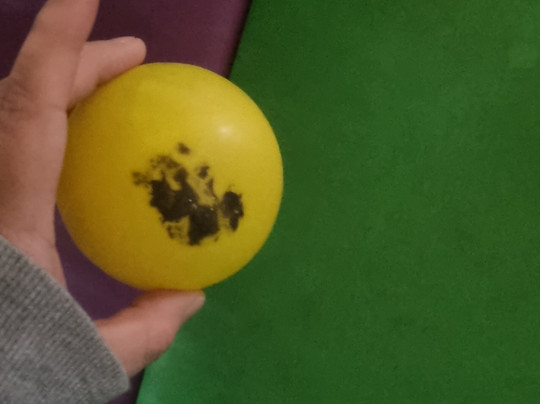 Monster Mayhem-伯明翰必去景点