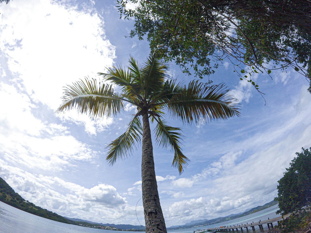 Fonds Blancs Martinique-Le Francois必去景点