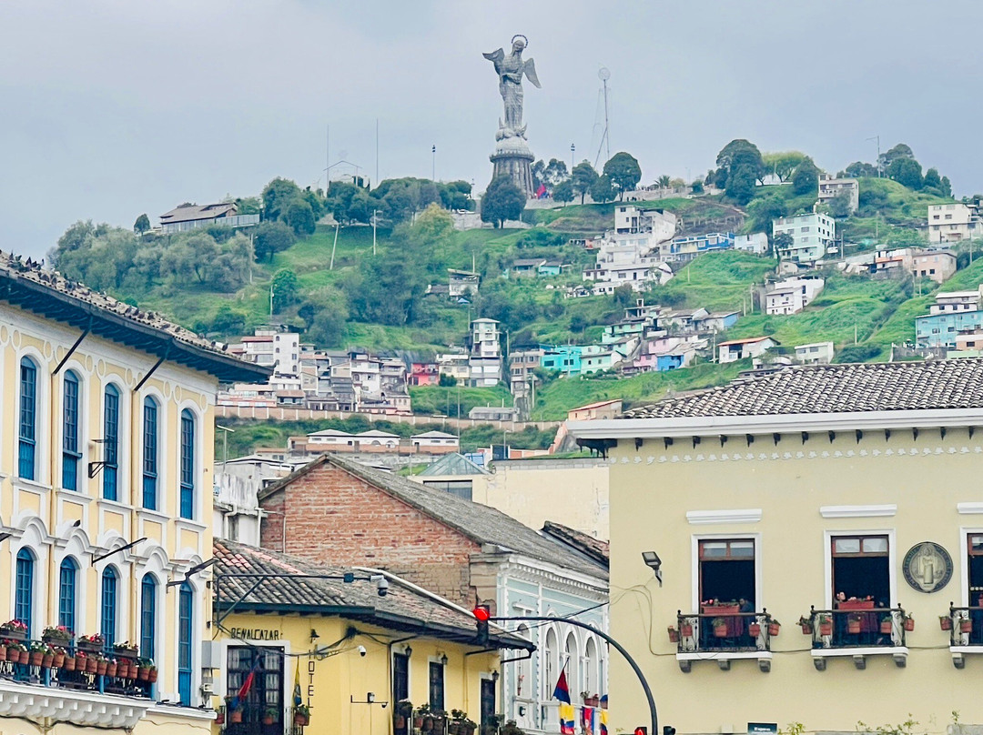 Ecuador and Galapagos Insiders景点图片