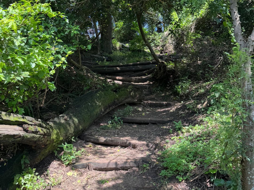 Umhlanga Lagoon Nature Reserve-Umhlanga必去景点