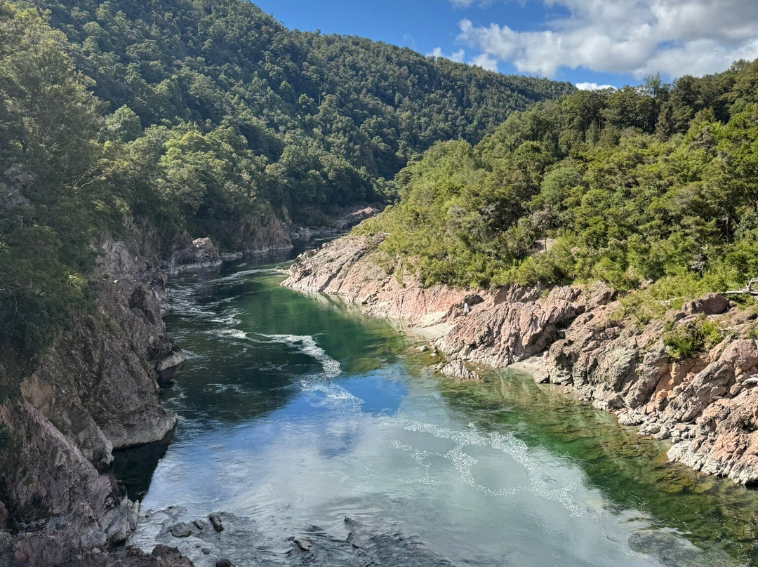 Buller Gorge Swingbridge Ltd景点图片