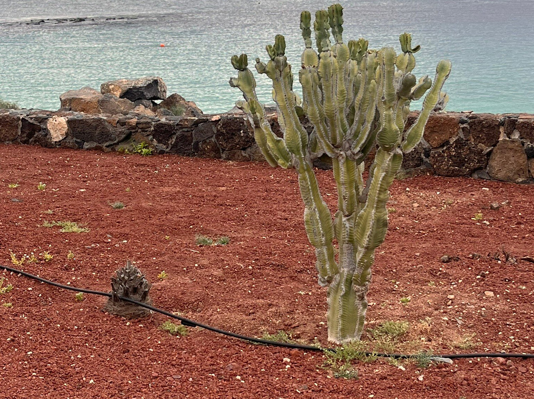 Playa Dorada景点图片