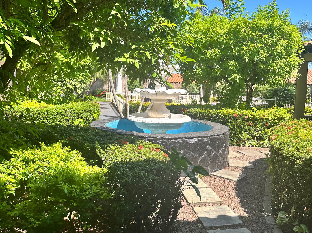 Fenix Plaza Hotel主图