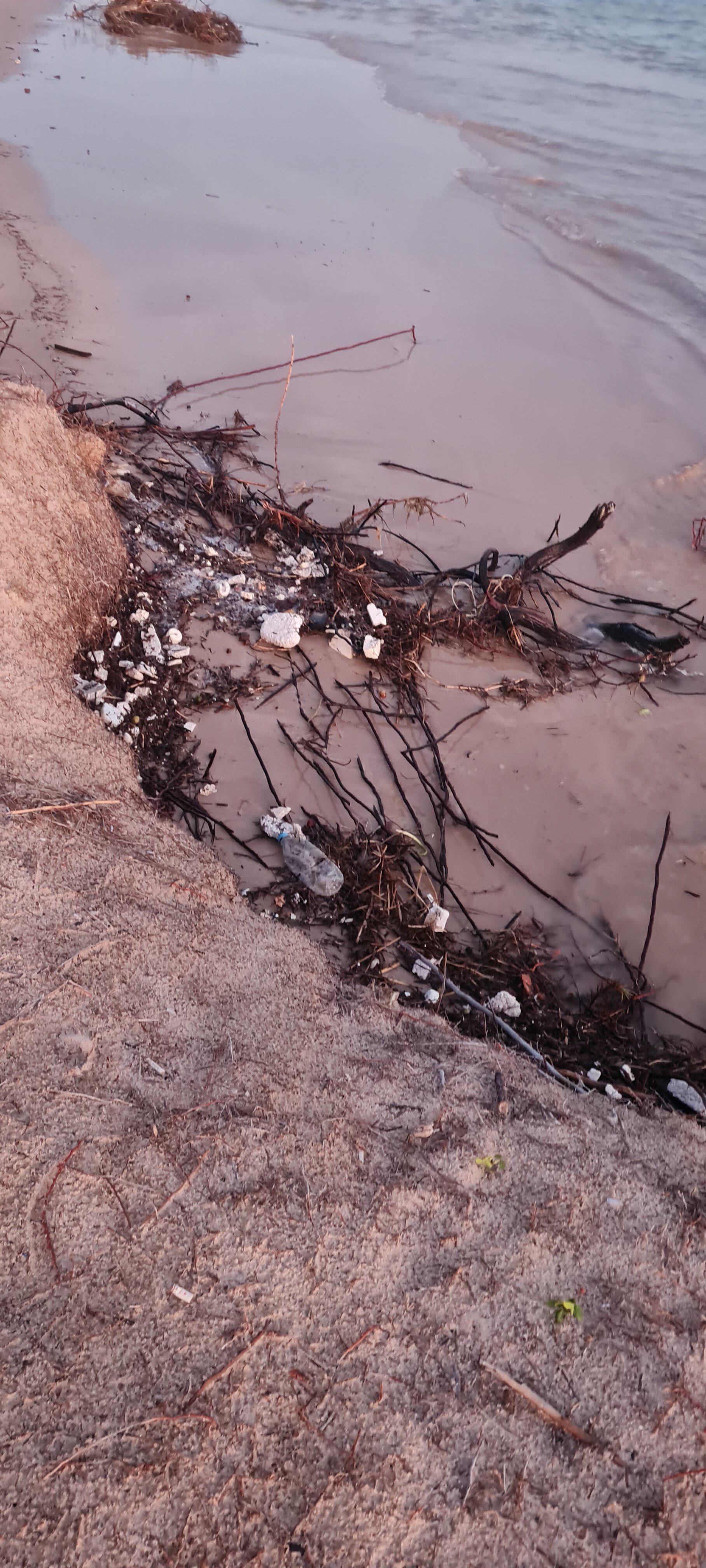 Hotel D'Anatureza-官方