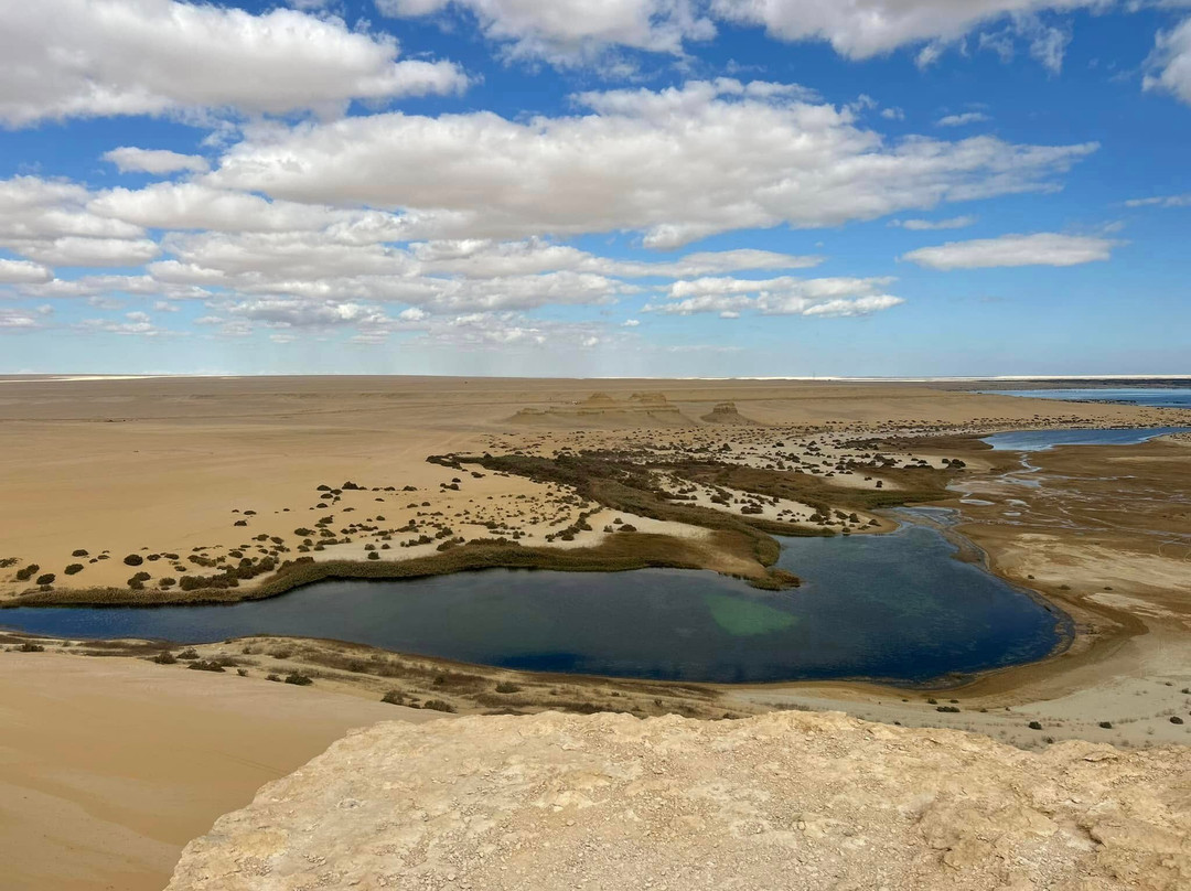 Wadi El-Rayan-法尤姆必去景点