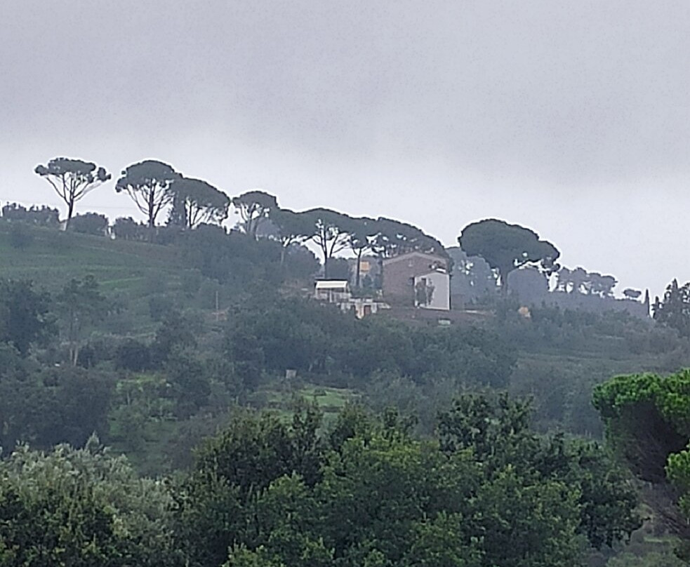Olive Tree Suites
