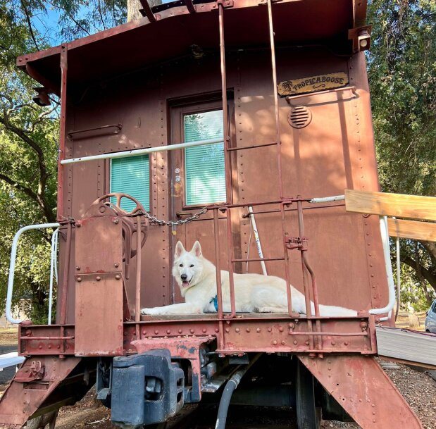 Featherbed Railroad Bed & Breakfast Resort主图