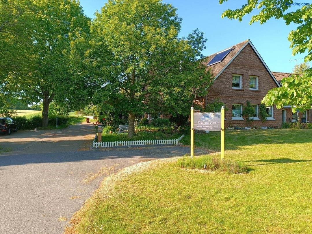 Dat Lutte Nest主图