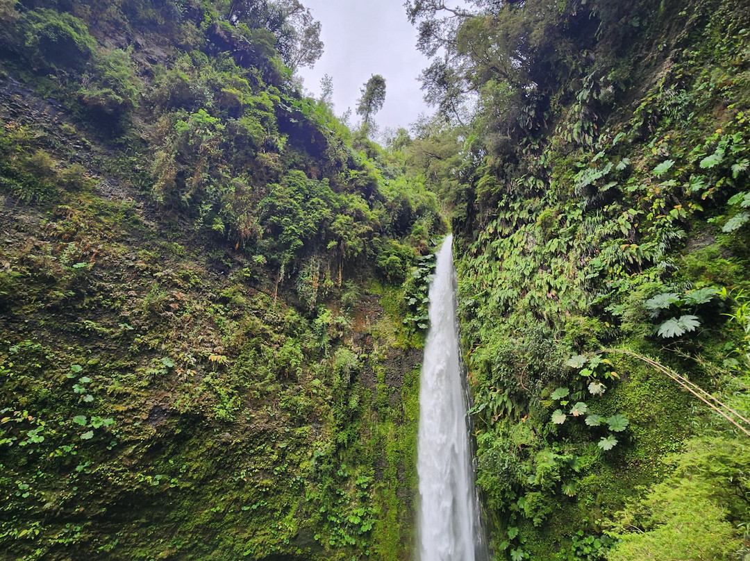 Salto Las Cascadas景点图片