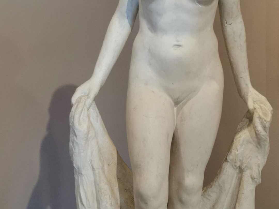 Museo  Comunale景点图片