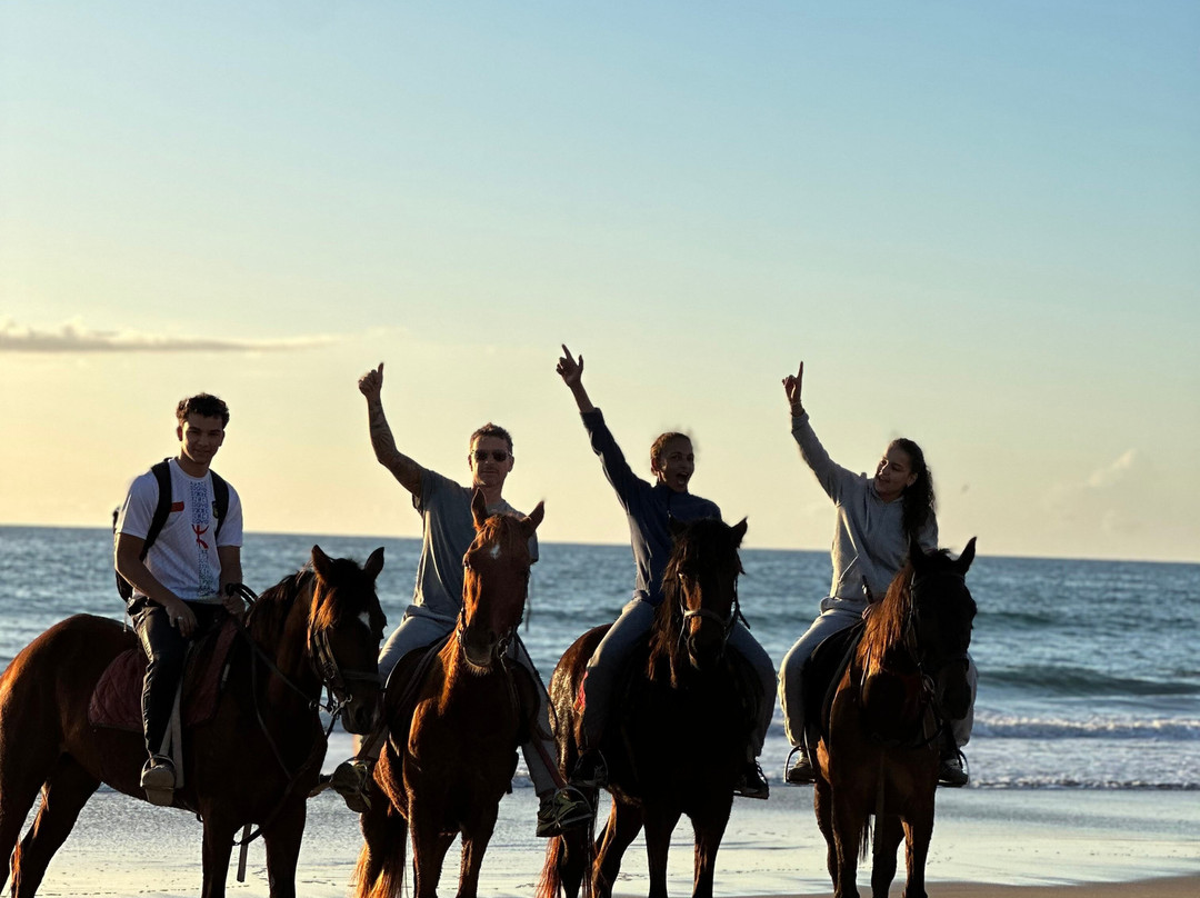 Ranch Paradis Agadir-奥瑞尔必去景点