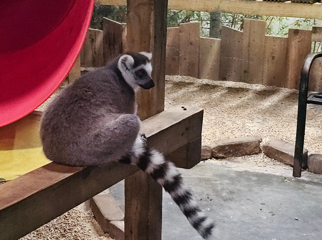 Branson's Wild World-布兰森必去景点