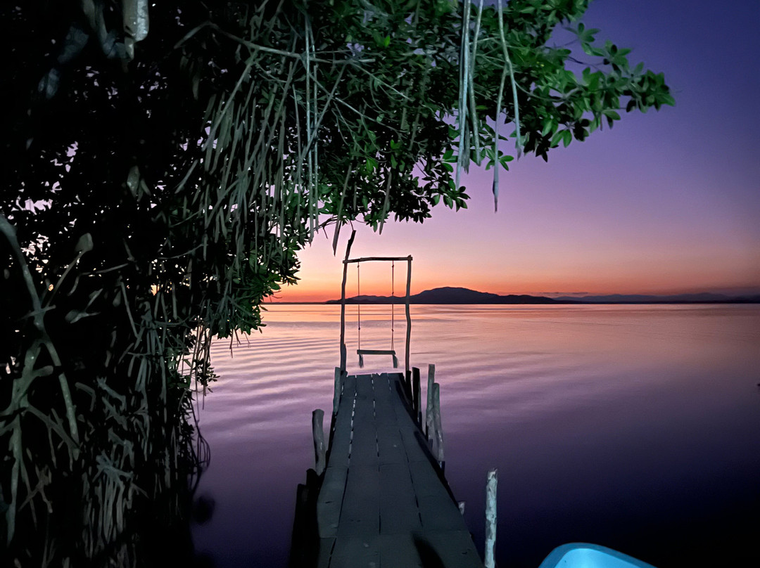 Vidasurf Ecotours-埃斯孔迪多港必去景点