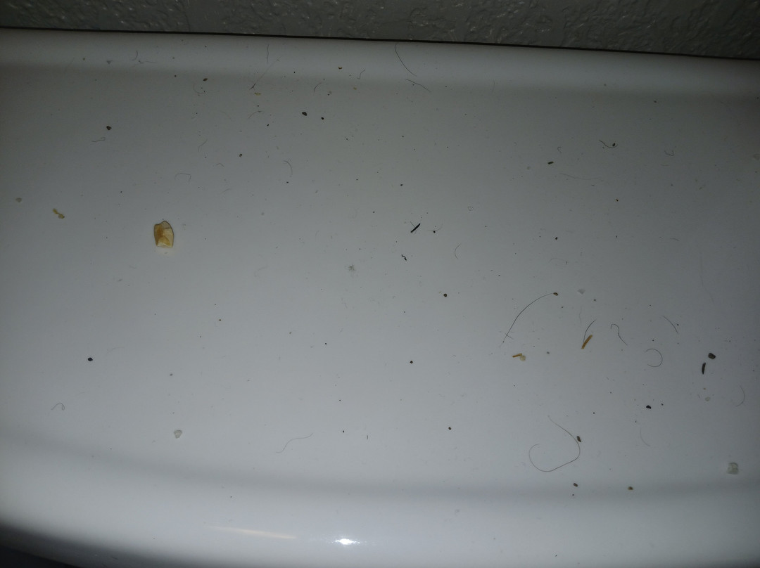 Red Roof PLUS+ Columbus Dublin主图