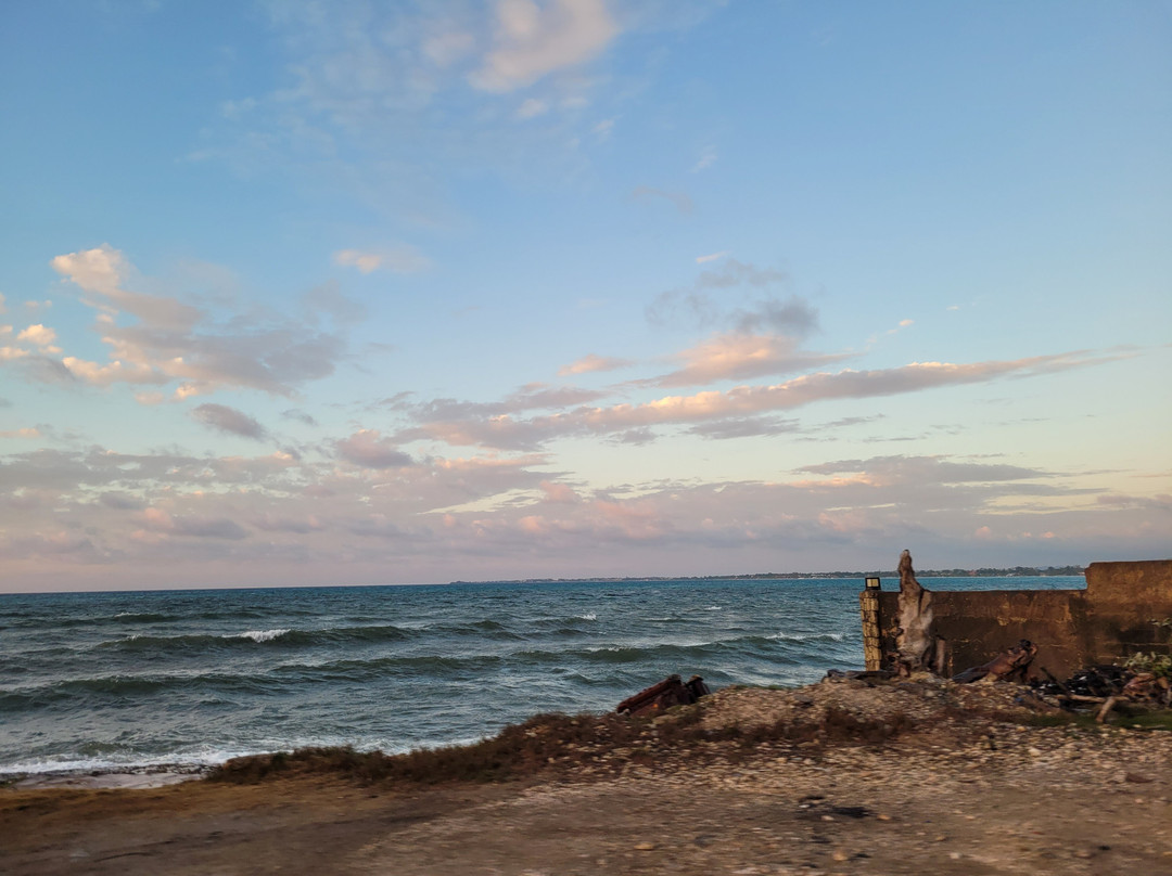 Lloyd Transport Service - Day Tours-Lucea必去景点