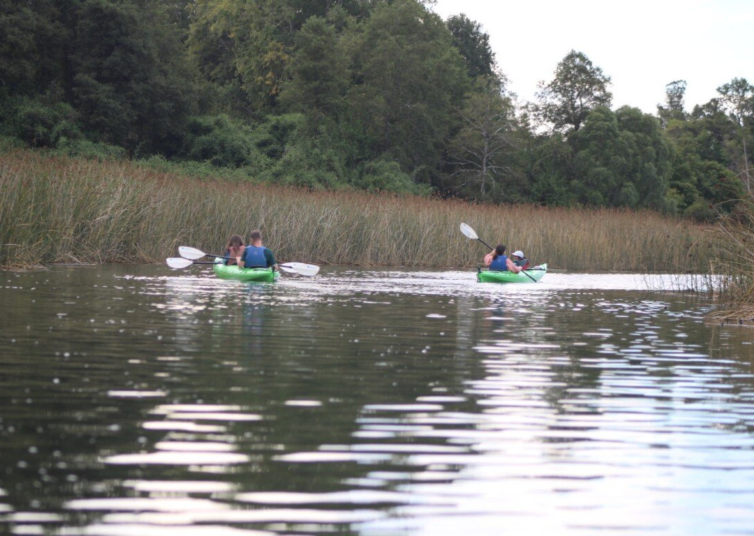Rio Vivo-瓦尔迪维亚必去景点