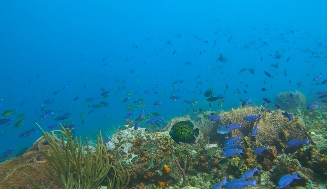 Spencer's Underwater Adventures-Speyside必去景点