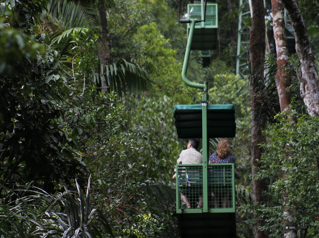 Gamboa Rainforest Reserve主图