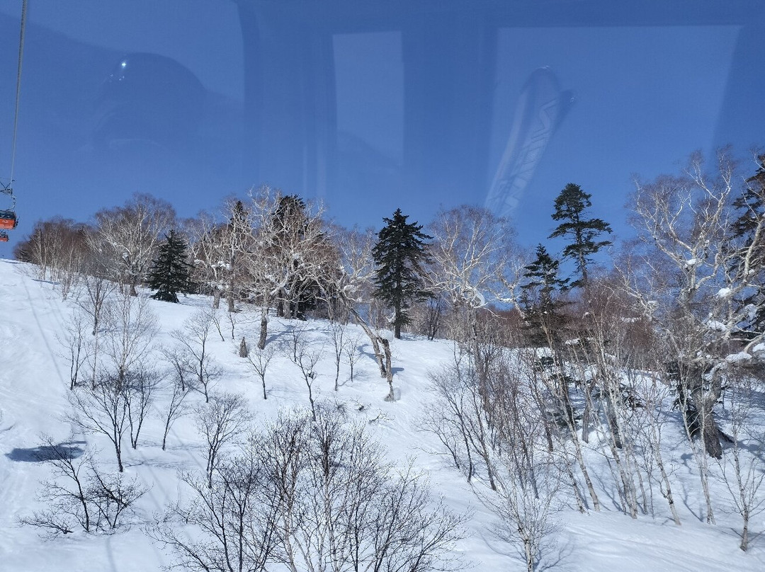 札幌国际滑雪场-札幌市必去景点