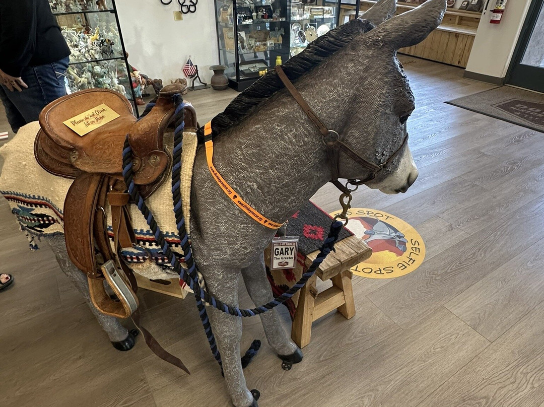 Donkey History Museum景点图片