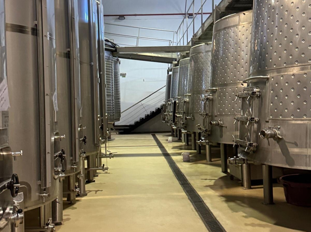 Tiago Cabaço Winery景点图片