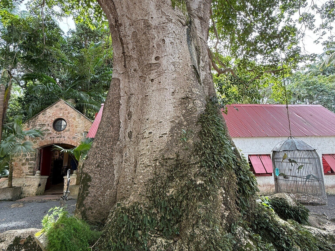 St. Nicholas Abbey-Saint Peter Parish必去景点
