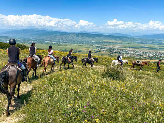 Palomino Ranch Georgia