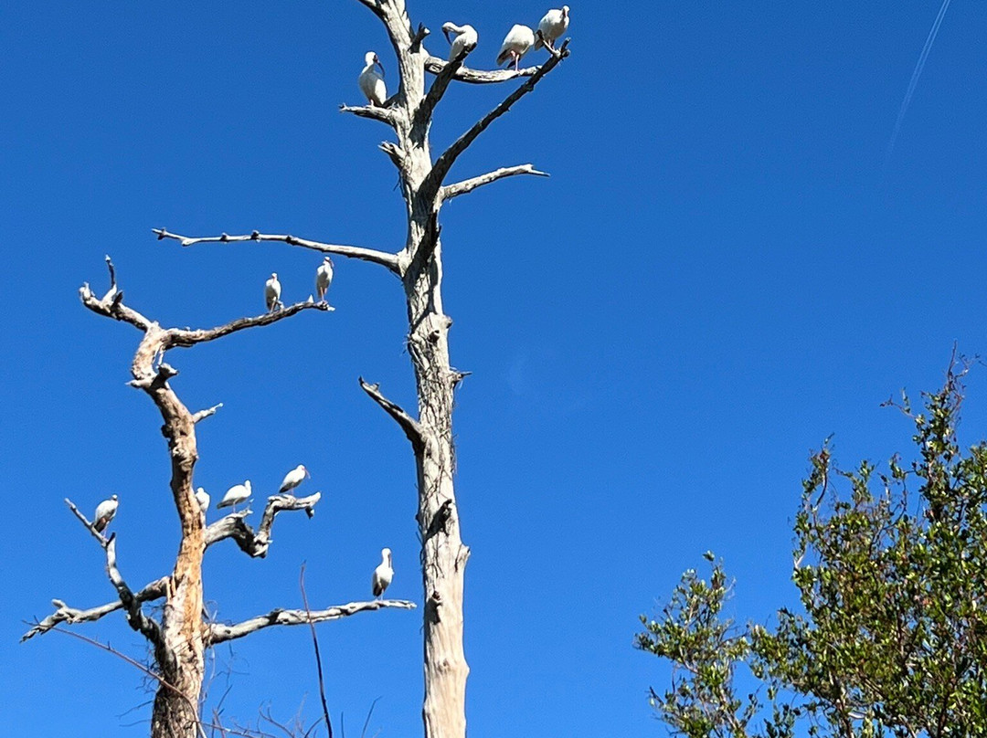 Perico Preserve-布雷登顿必去景点