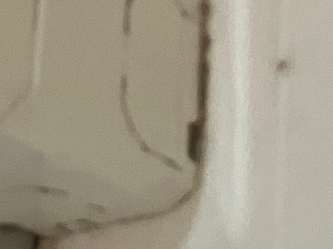 Pleasant Way River Lodge主图