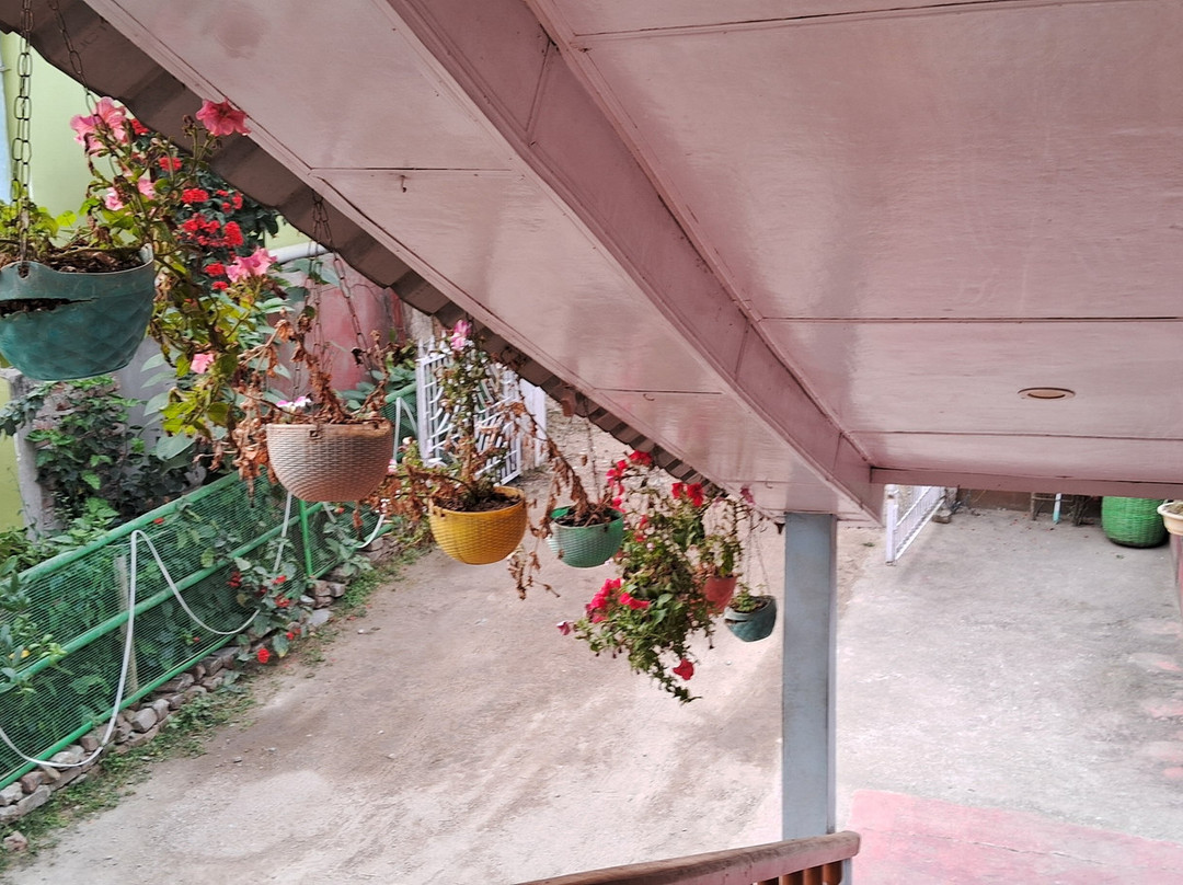 Sneha Bhawan Kaziranga主图