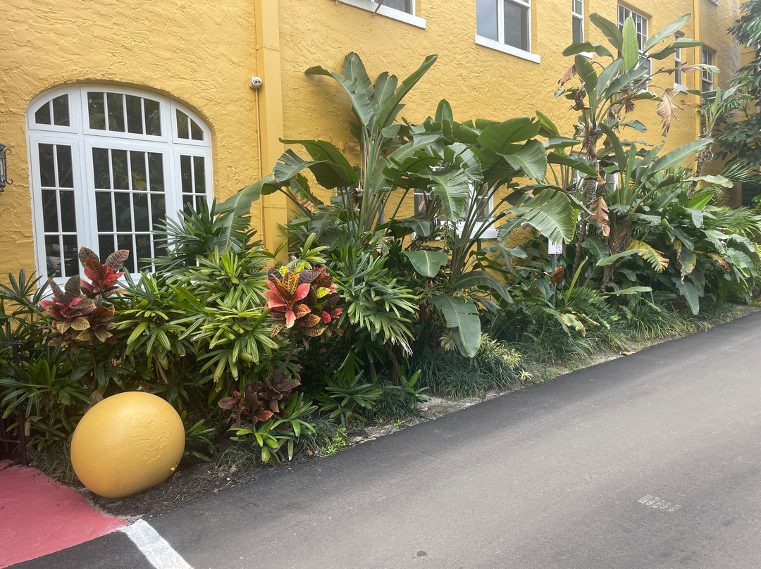 Colony Hotel and Cabana Club主图