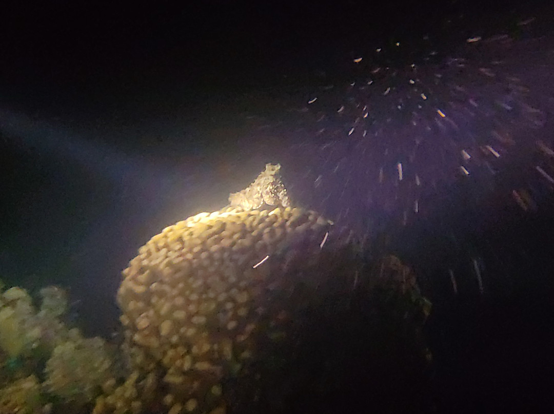 Egypt International-赫尔格达必去景点