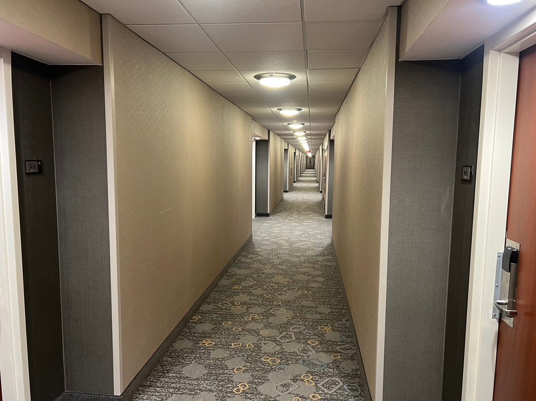 Courtyard by Marriott Philadelphia Valley Forge/Collegeville主图