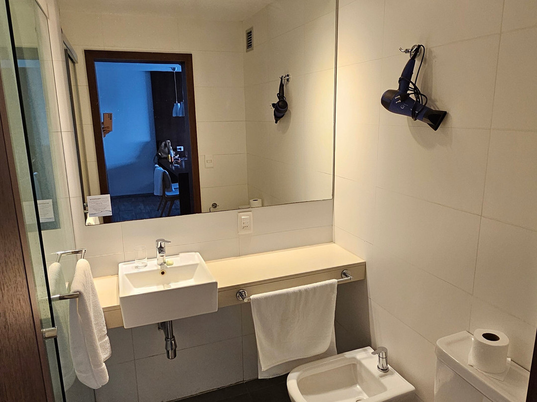 Dazzler by Wyndham Colonia主图