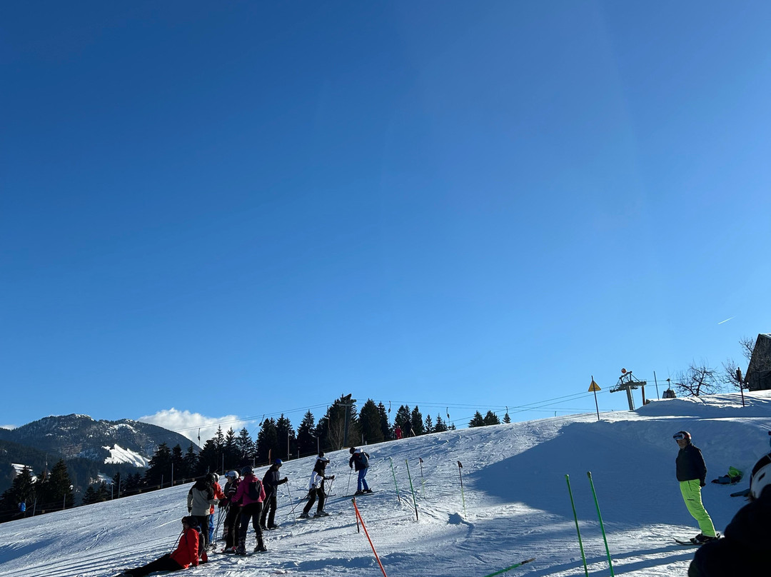 Parallel Skiing-慕尼黑必去景点