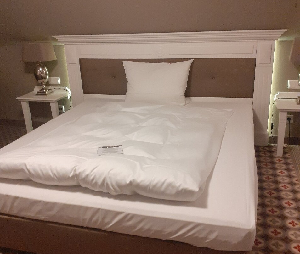 希彻勒阿尔特酒店主图