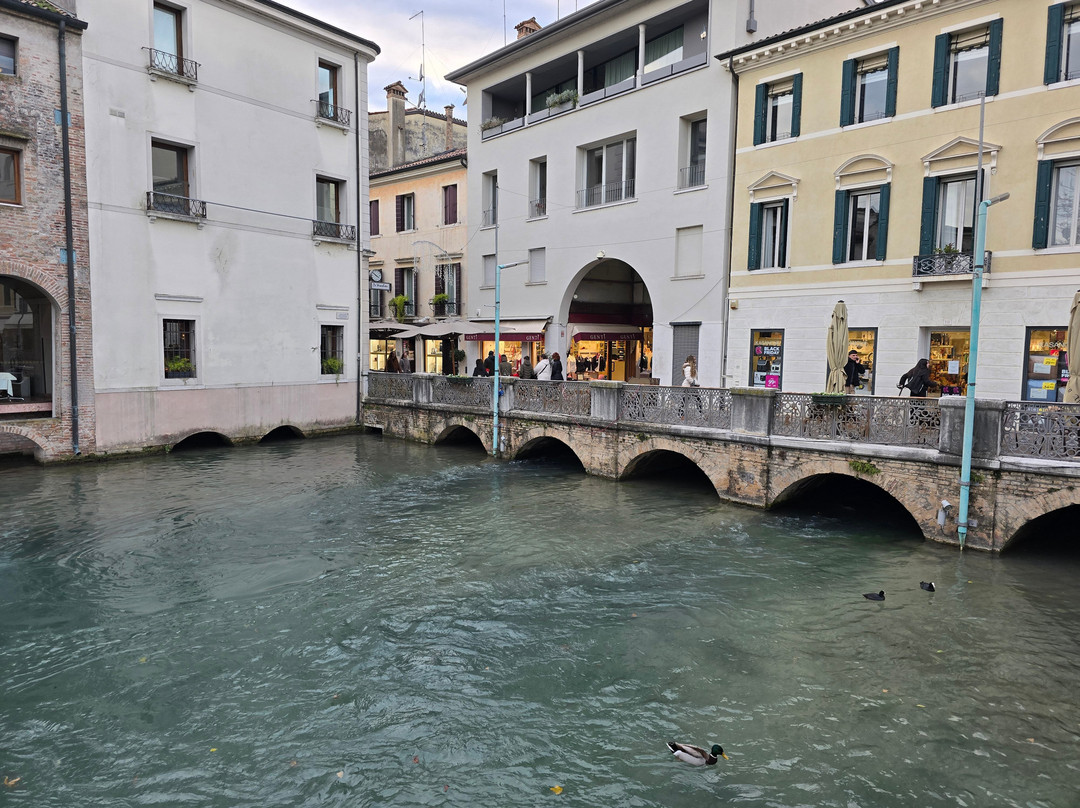 Isola della Pescheria-特雷维索必去景点