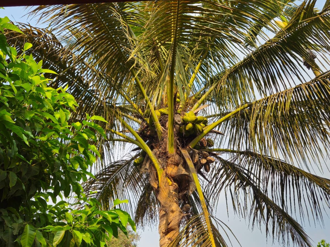 Rutugandh River View Resort Wai主图