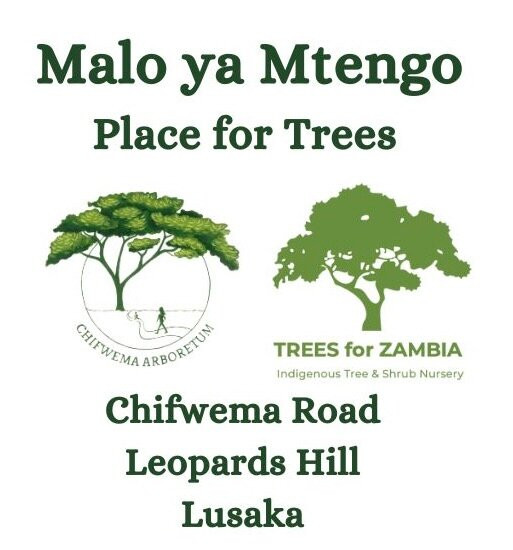 Chifwema Arboretum-卢萨卡必去景点