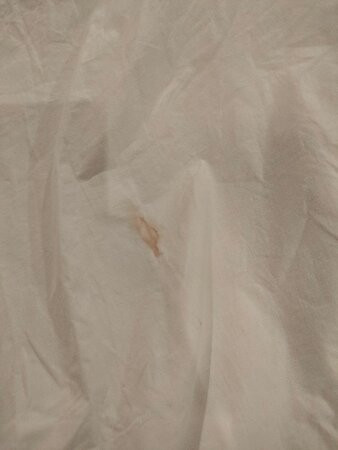 Vinholidays Fiesta Phu Quoc主图