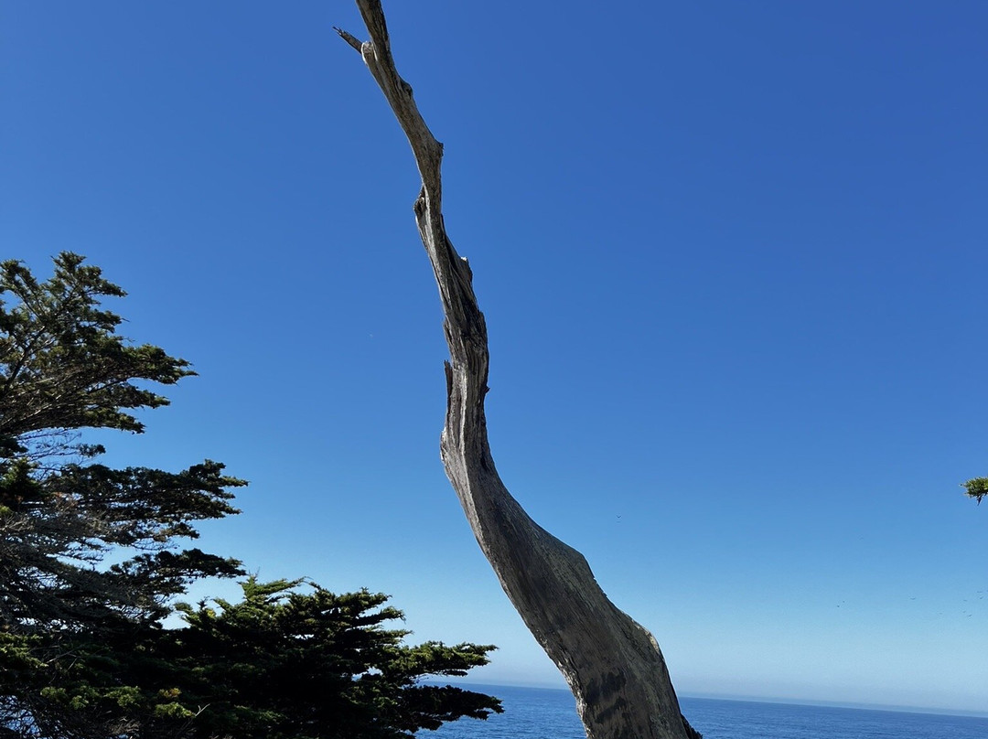 Pescadero Point-圆石滩必去景点