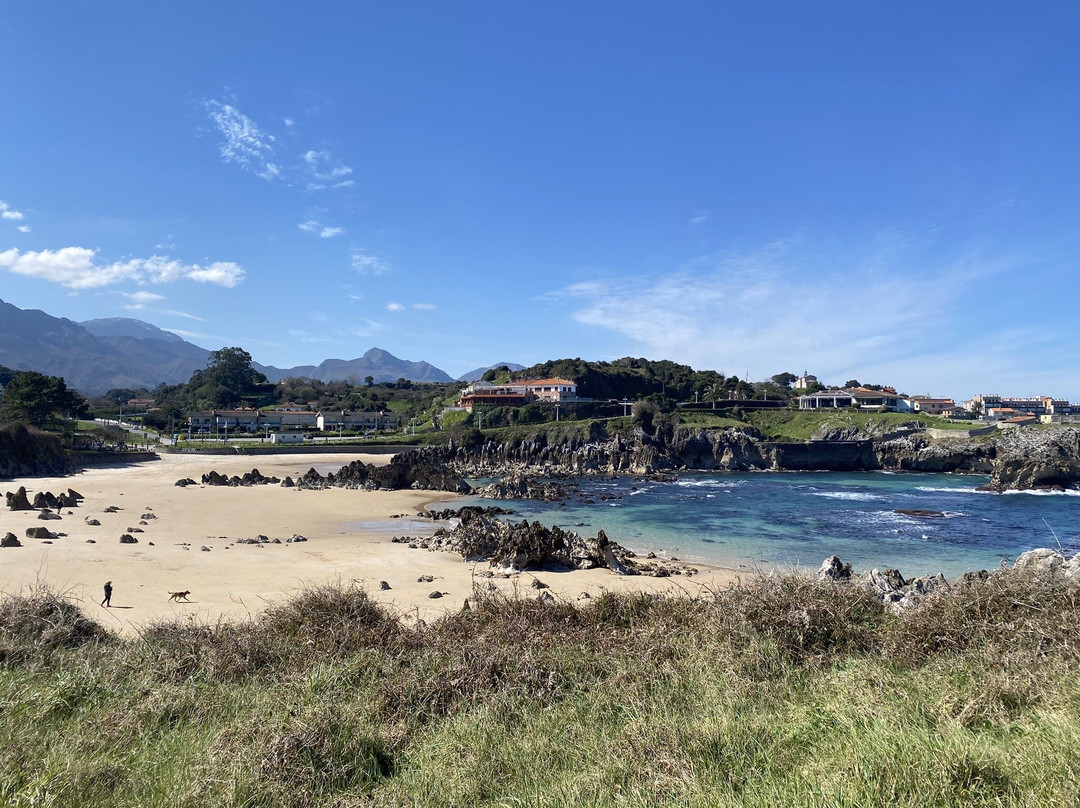 Playa de Toro-利亚内斯必去景点