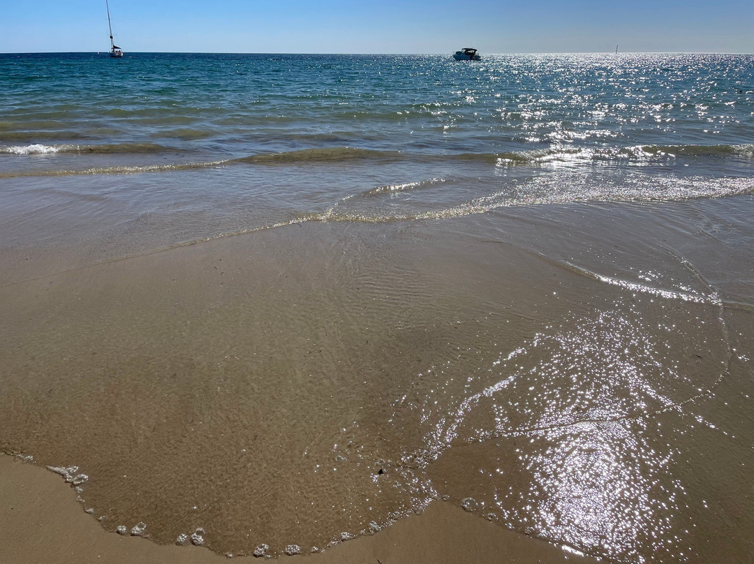Glenelg - Seacliff Coastal Walking Trail-格莱内尔格必去景点